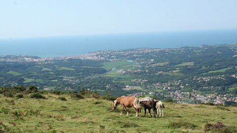 Vue sur Saint-Jean-de-Luz