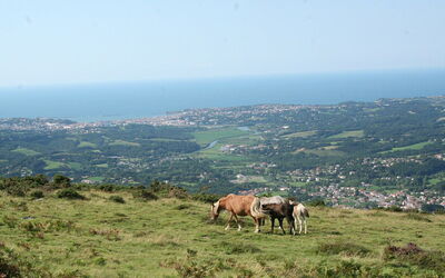 Vue sur Saint-Jean-de-Luz