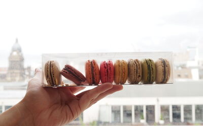 macarons