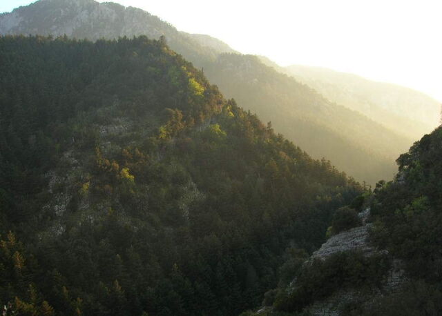 Foresterie à Taygetos