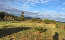 Photos éffectuées par les clients de Can Barbara