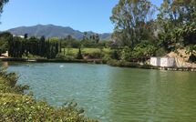 Photos éffectuées par les clients de Benalmádena Costa 121