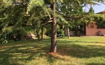 Photos éffectuées par les clients de Casa Cipressi