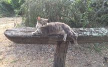 Photos éffectuées par les clients de Val di Coreto