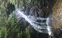 Photos éffectuées par les clients de Hallenbadweg