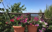 Photos éffectuées par les clients de Casetta i Ciliegi