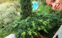 Photos éffectuées par les clients de La Macchietta