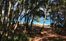 Photos éffectuées par les clients de Labin 767