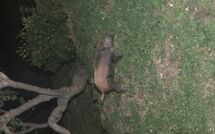 Photos éffectuées par les clients de Cà di Mott