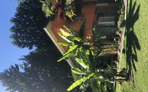 Photos éffectuées par les clients de Castro 150