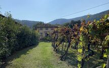 Photos éffectuées par les clients de Bettina!