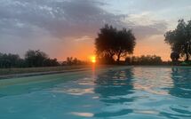 Photos éffectuées par les clients de La Corte di Campalli