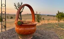 Photos éffectuées par les clients de Villa Farneta