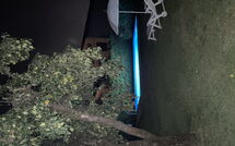 Photos éffectuées par les clients de La Capannella