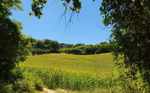 Photos éffectuées par les clients de Gabicce Mare 603