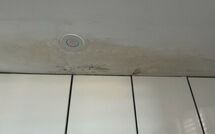 Photos éffectuées par les clients de Estrella Ii