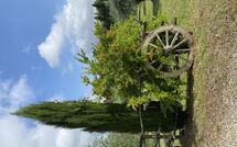 Photos éffectuées par les clients de La Rimessa