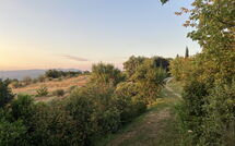 Photos éffectuées par les clients de Casetta i Ciliegi