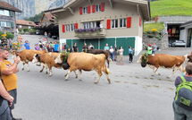 Photos éffectuées par les clients de Lauterbrunnen 101