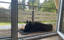 Photos éffectuées par les clients de Ferienhäusle Nina