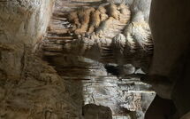 Photos éffectuées par les clients de Can Pedro