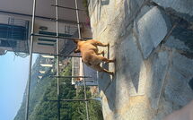 Photos éffectuées par les clients de Belvedere, House with Private Pool and Garden, Rec