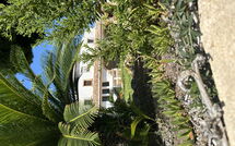 Photos éffectuées par les clients de Villa Finca Labranza