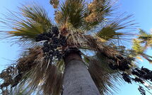 Photos éffectuées par les clients de Villa Rosa