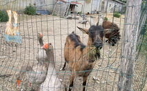 Photos éffectuées par les clients de Bon Port