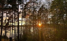 Photos éffectuées par les clients de Metsä-Iivari
