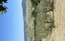 Photos éffectuées par les clients de Casolare Ser Chelino