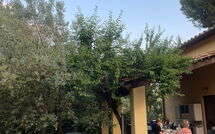 Photos éffectuées par les clients de Poggio Cuccule