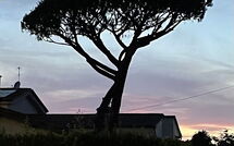 Photos éffectuées par les clients de Antonia