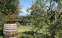 Photos éffectuées par les clients de Il Campanile