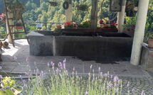 Photos éffectuées par les clients de Il Gianlupo Grigio