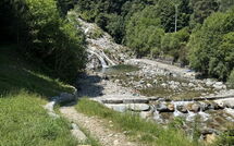 Photos éffectuées par les clients de Il Gianlupo Grigio