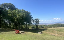 Photos éffectuées par les clients de Villa Il Troscione