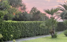 Photos éffectuées par les clients de Cala Marina