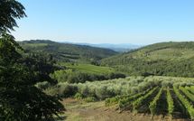 Photos éffectuées par les clients de Agriturismo Concadoro