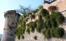 Photos éffectuées par les clients de Villa Carolina