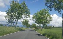 Photos éffectuées par les clients de Casa Caldesi