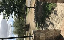 Photos éffectuées par les clients de Pieve di Sant Ippolito
