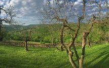 Photos éffectuées par les clients de Casalta di Pesa