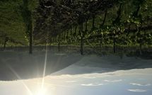 Photos éffectuées par les clients de Casalta di Pesa