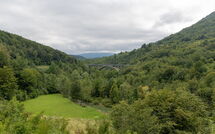 Photos éffectuées par les clients de Krizmanić