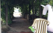 Photos éffectuées par les clients de Montegufoni