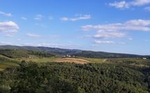 Photos éffectuées par les clients de Fattoria di Quercia al Poggio