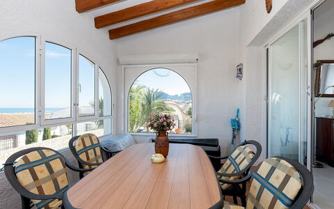 Stella: Table, Propriété, Meubles, Plante, Bâtiment, Chaise, Bois, Bleu Azur, Plante D'Appartement, Fenêtre