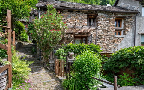 Il Gianlupo: Plante, Bâtiment, Fenêtre, Ciel, Végétation, Arbre, Chalet, Biome, Quartier, Maison