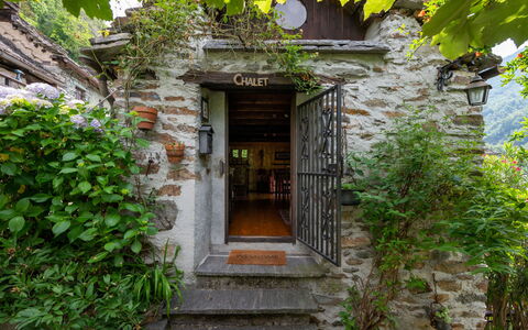 Il Gianlupo: Plante, Propriété, Bois, Architecture, Végétation, Biome, Porte, Mur, Bâtiment